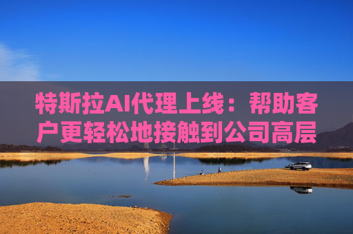 特斯拉AI代理上线：帮助客户更轻松地接触到公司高层  第1张
