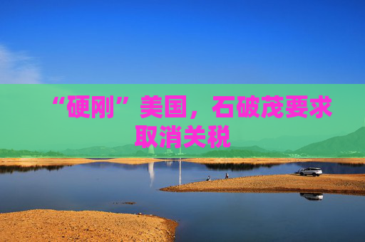 “硬刚”美国，石破茂要求取消关税  第1张