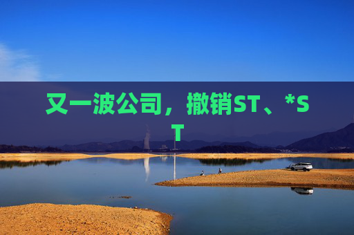 又一波公司，撤销ST、*ST  第1张