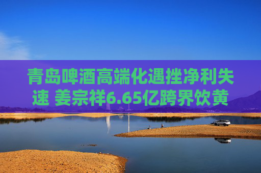 青岛啤酒高端化遇挫净利失速 姜宗祥6.65亿跨界饮黄酒前途未卜  第1张