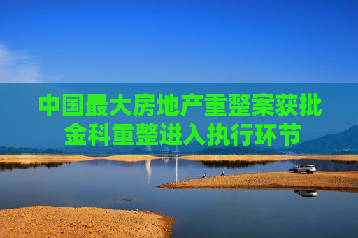 中国最大房地产重整案获批 金科重整进入执行环节  第1张