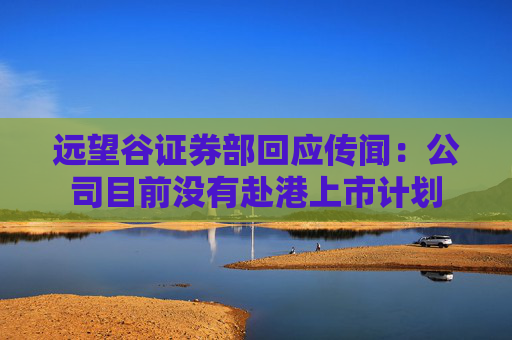 远望谷证券部回应传闻：公司目前没有赴港上市计划  第1张