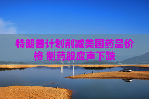 特朗普计划削减美国药品价格 制药股应声下跌  第1张