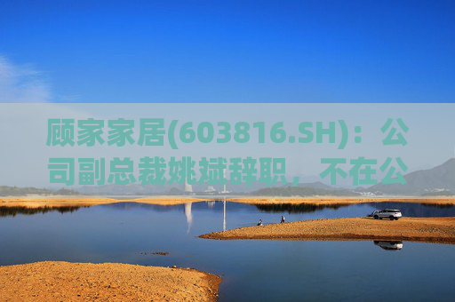 顾家家居(603816.SH)：公司副总裁姚斌辞职，不在公司担任其他任何职务  第1张