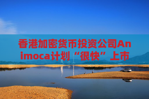 香港加密货币投资公司Animoca计划“很快”上市