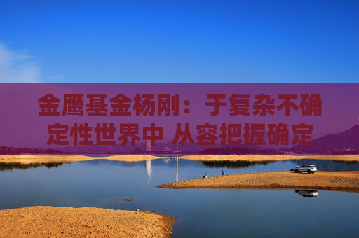 金鹰基金杨刚：于复杂不确定性世界中 从容把握确定性投资机会