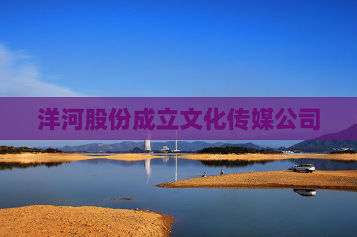 洋河股份成立文化传媒公司