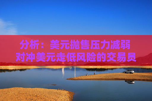 分析：美元抛售压力减弱 对冲美元走低风险的交易员并不多