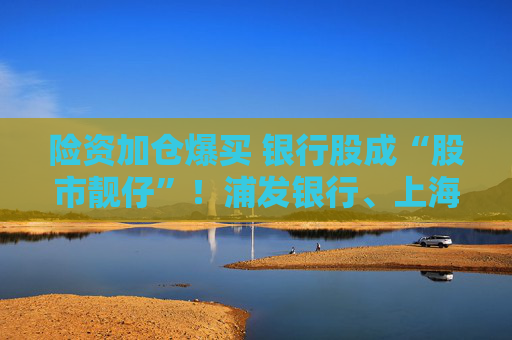 险资加仓爆买 银行股成“股市靓仔”！浦发银行、上海银行等股价飙到历史新高