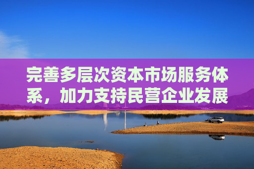 完善多层次资本市场服务体系，加力支持民营企业发展