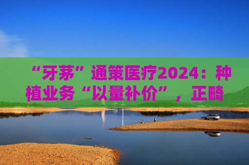“牙茅”通策医疗2024：种植业务“以量补价”，正畸连年下滑，千亿市值缩水九成