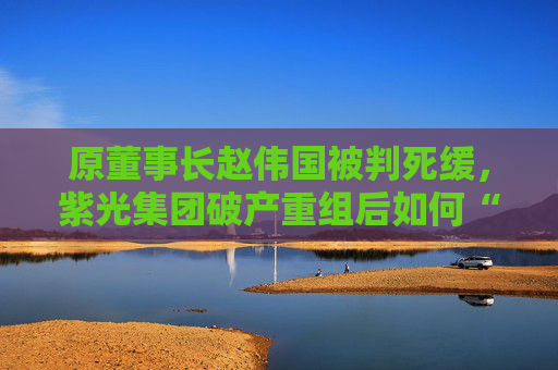 原董事长赵伟国被判死缓，紫光集团破产重组后如何“求生”？