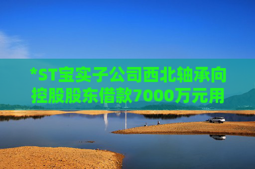 *ST宝实子公司西北轴承向控股股东借款7000万元用于项目建设