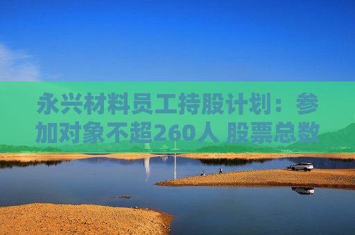 永兴材料员工持股计划：参加对象不超260人 股票总数不超250万股
