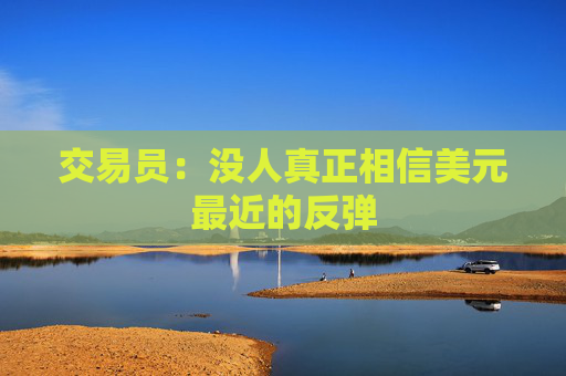 交易员：没人真正相信美元最近的反弹
