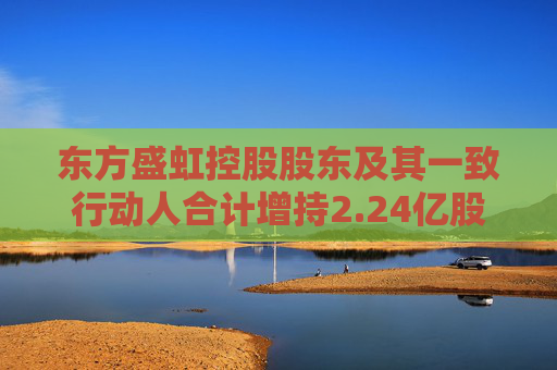 东方盛虹控股股东及其一致行动人合计增持2.24亿股