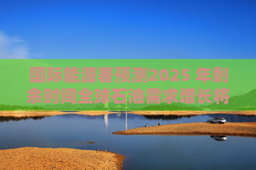 国际能源署预测2025 年剩余时间全球石油需求增长将放缓至每日65万桶