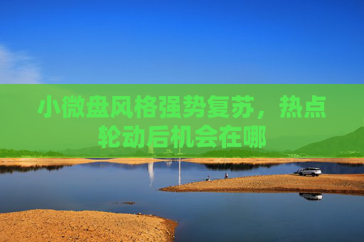 小微盘风格强势复苏，热点轮动后机会在哪