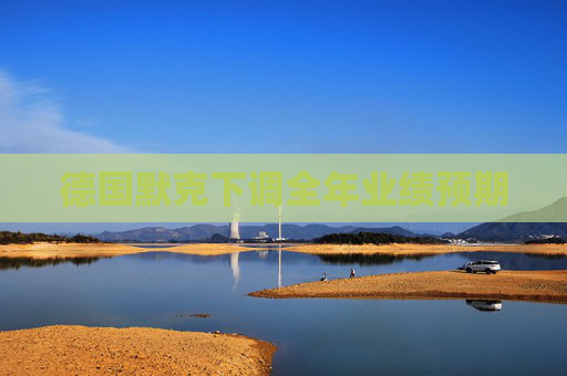 德国默克下调全年业绩预期