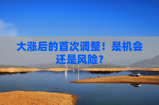 大涨后的首次调整！是机会还是风险？