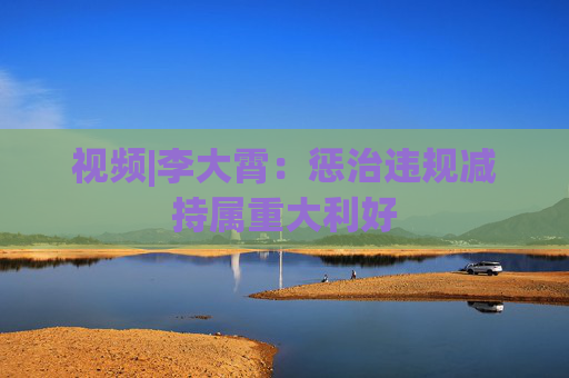 视频|李大霄：惩治违规减持属重大利好