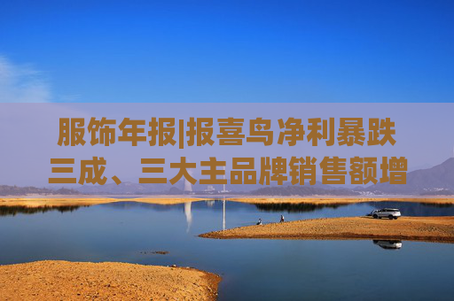 服饰年报|报喜鸟净利暴跌三成、三大主品牌销售额增长乏力 战略扩张与财务承压的双重困局