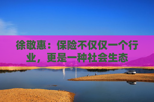 徐敬惠：保险不仅仅一个行业，更是一种社会生态