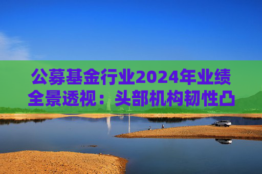 公募基金行业2024年业绩全景透视：头部机构韧性凸显 中小公司差异化突围