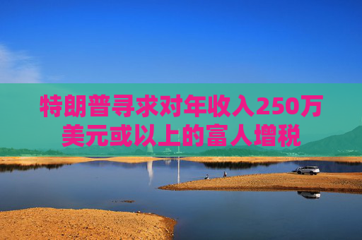 特朗普寻求对年收入250万美元或以上的富人增税