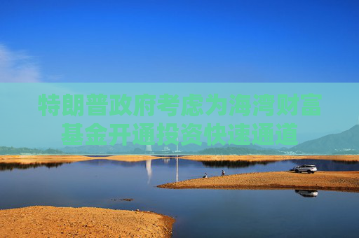 特朗普政府考虑为海湾财富基金开通投资快速通道