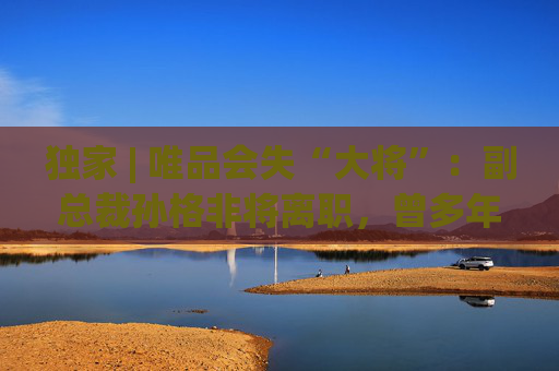 独家 | 唯品会失“大将”：副总裁孙格非将离职，曾多年掌管商务运营