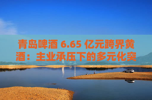 青岛啤酒 6.65 亿元跨界黄酒：主业承压下的多元化突围与协同效应考验