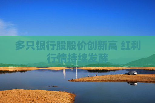 多只银行股股价创新高 红利行情持续发酵