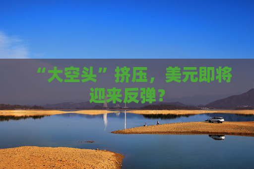 “大空头”挤压，美元即将迎来反弹？