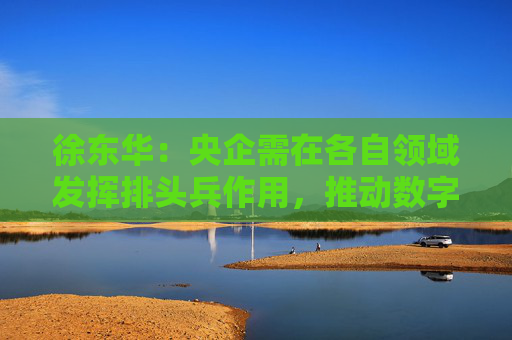 徐东华：央企需在各自领域发挥排头兵作用，推动数字化转型