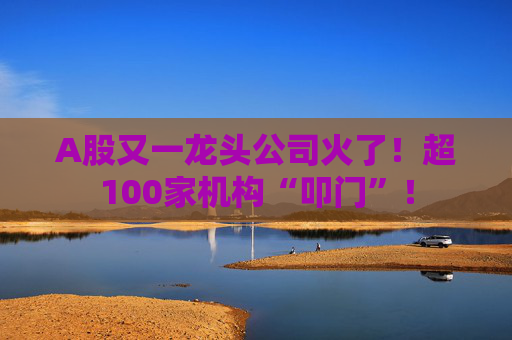 A股又一龙头公司火了！超100家机构“叩门”！