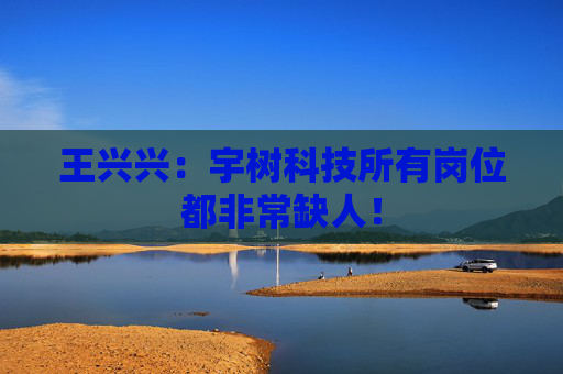 王兴兴：宇树科技所有岗位都非常缺人！
