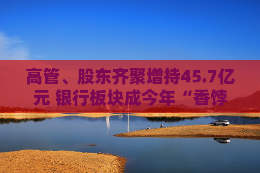 高管、股东齐聚增持45.7亿元 银行板块成今年“香饽饽”
