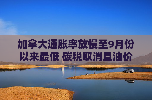 加拿大通胀率放慢至9月份以来最低 碳税取消且油价下跌