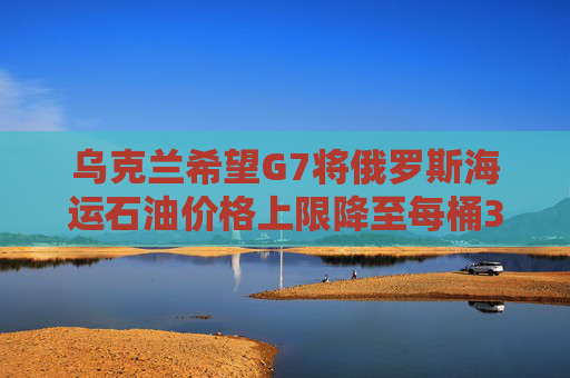 乌克兰希望G7将俄罗斯海运石油价格上限降至每桶30美元