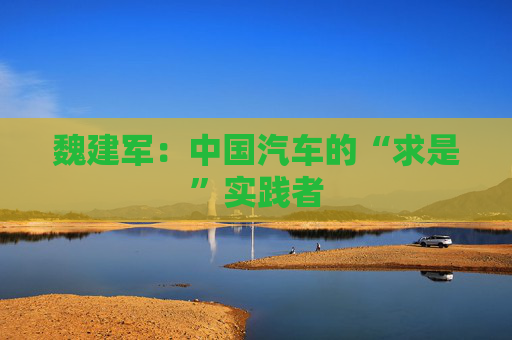 魏建军：中国汽车的“求是”实践者