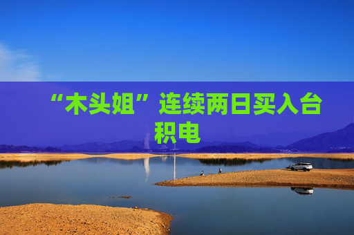 “木头姐”连续两日买入台积电