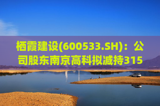 栖霞建设(600533.SH)：公司股东南京高科拟减持3150万股，占公司总股本3%