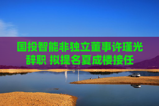 国投智能非独立董事许瑾光辞职 拟提名夏成楼接任