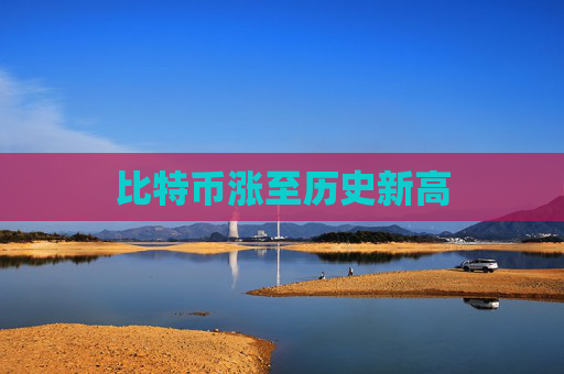 比特币涨至历史新高