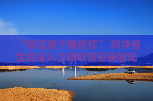 “我定是个受虐狂” 对冲基金资深人士感叹做空美股无比痛苦