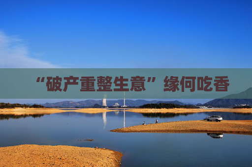 “破产重整生意”缘何吃香