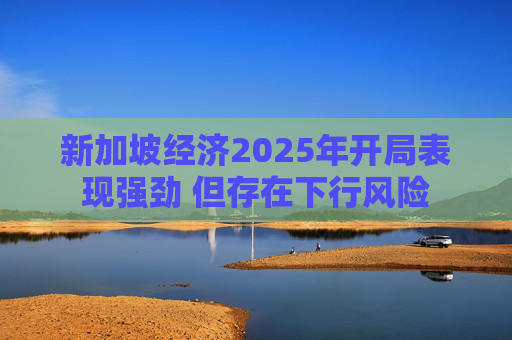 新加坡经济2025年开局表现强劲 但存在下行风险