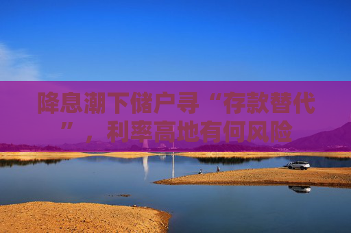 降息潮下储户寻“存款替代”，利率高地有何风险