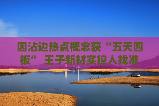 因沾边热点概念获“五天四板” 王子新材实控人找准时机高位套现